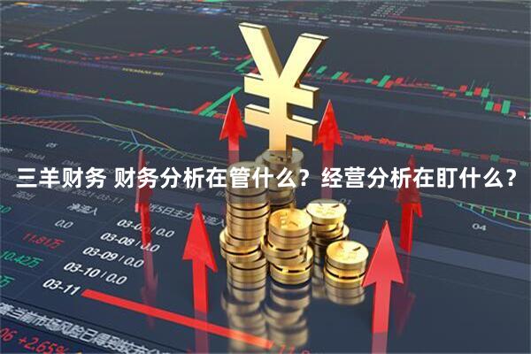 三羊财务 财务分析在管什么？经营分析在盯什么？